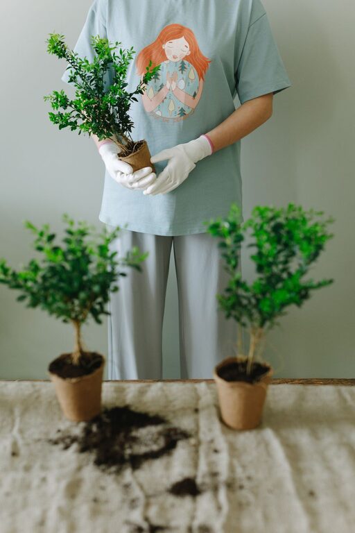 Gardening Projects That Keep You Moving at Home